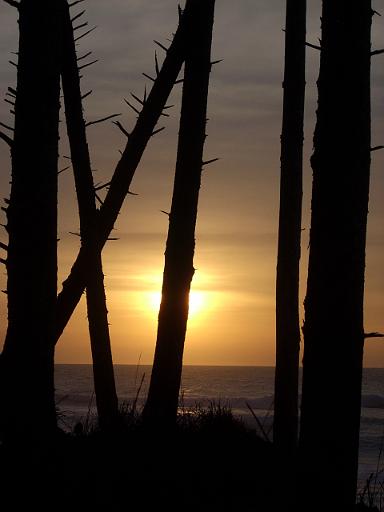 Oregon coast 087.jpg - The heavens declare the glory of God.  Sunset on the beach was followed by a drive home in the dark, almost 300 miles for the day.